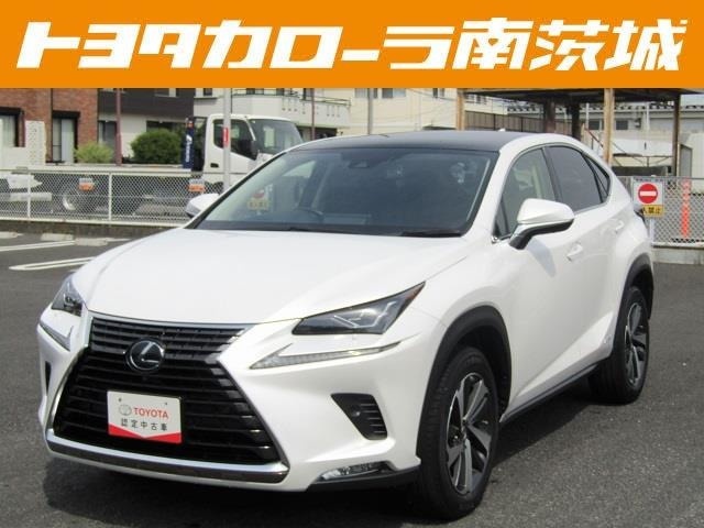 NX 300h Iパッケージ 
