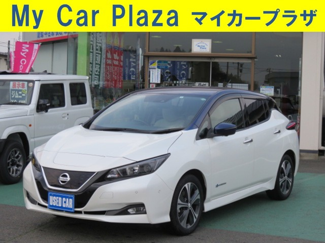 リーフ X 