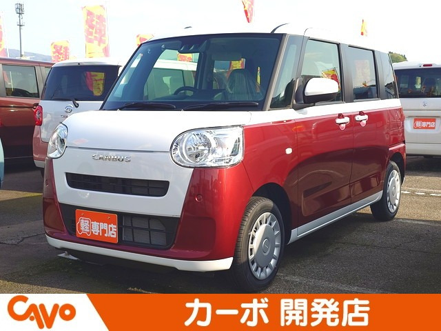 ムーヴキャンバス  ストライプス X
