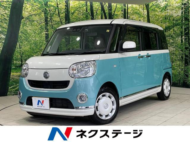 ムーヴキャンバス X リミテッド メイクアップ SAIII 