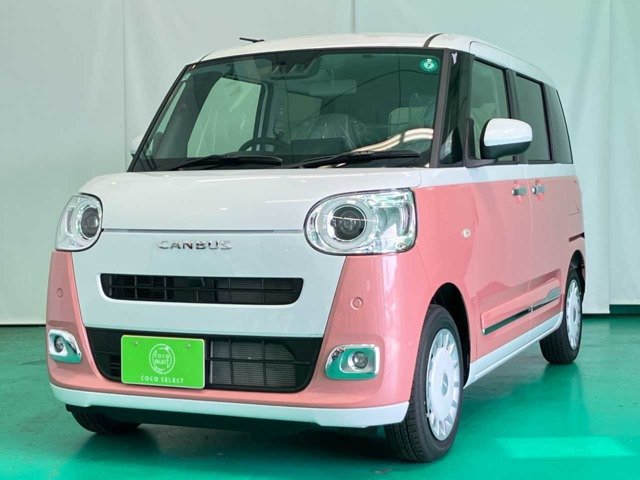 ムーヴキャンバス  ストライプス G
