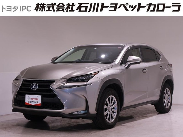 NX 300h 