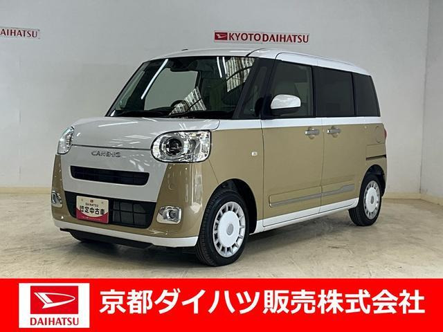 ムーヴキャンバス  ストライプス G