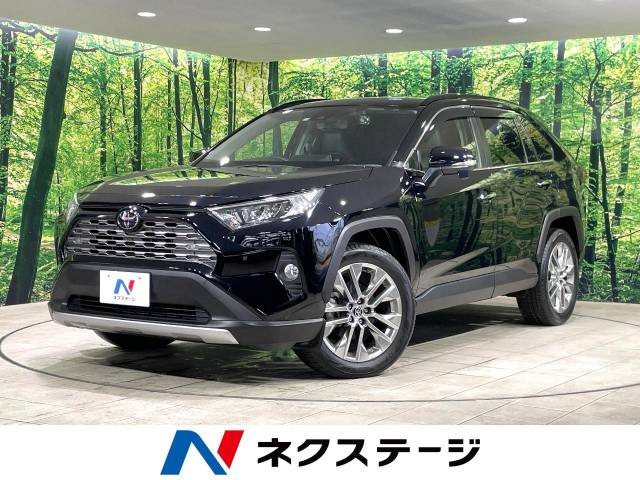 RAV4  G Zパッケージ