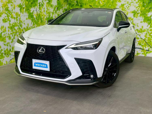 NX 350h Fスポーツ 