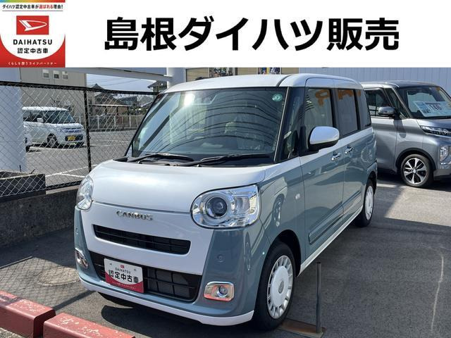 ムーヴキャンバス  ストライプス G