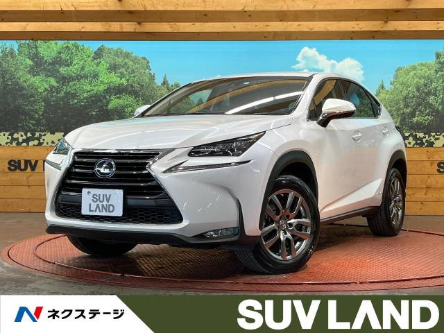 NX 300h Iパッケージ 