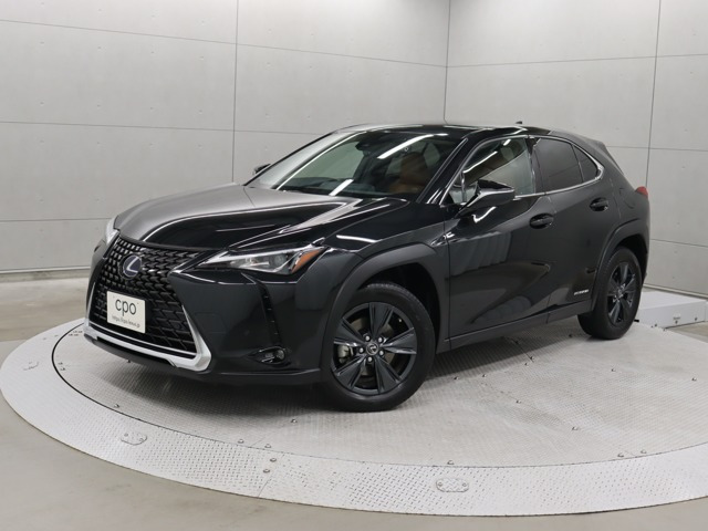 UX 250h バージョンC 