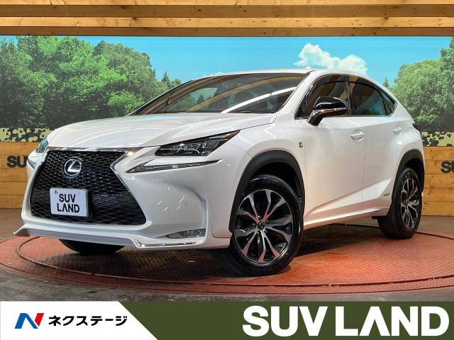 NX 300h Fスポーツ 