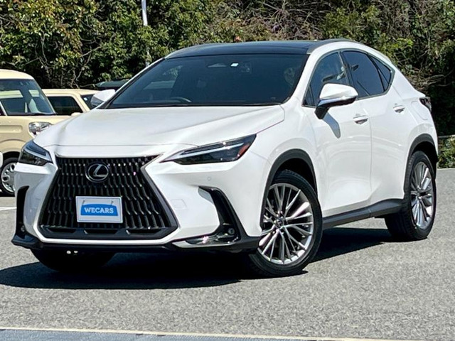 NX 250 バージョンL 