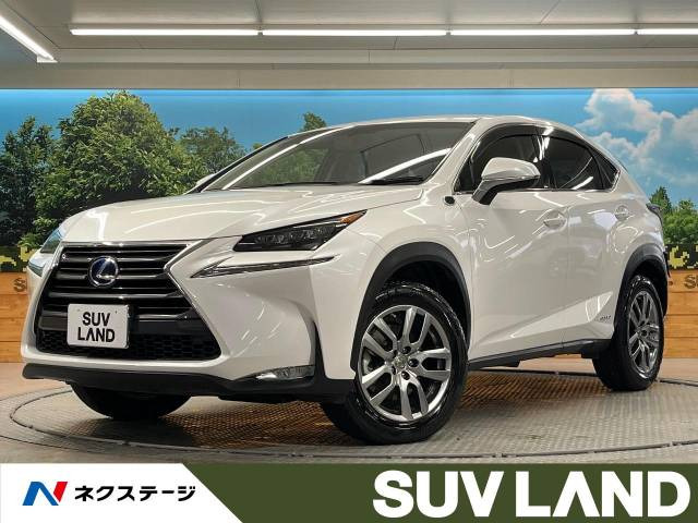 NX 300h Iパッケージ 