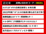 エルグランド 2.5 250ハイウェイスター プレミアム 