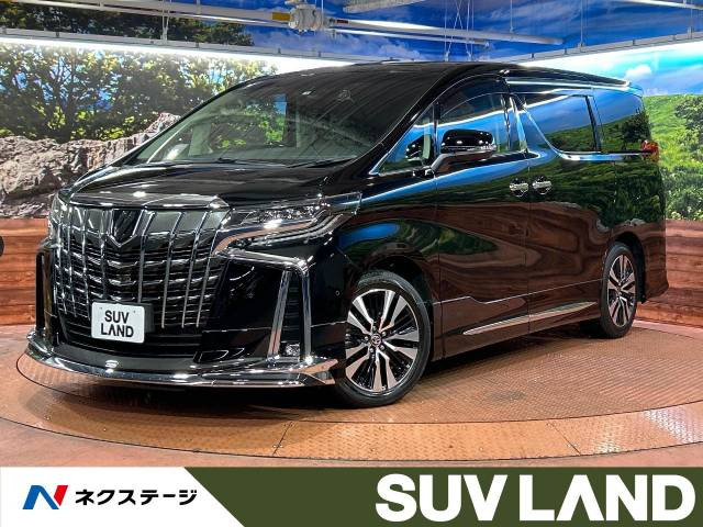 卒業袴2点セット“笑顔を振り撒く桜咲き、凛と薫り立つ”二尺袖 卒業袴2点セット“笑顔を振り撒く桜咲き、凛と薫り立つ”二尺袖