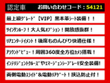 エルグランド 3.5 VIP 