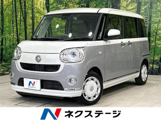 ムーヴキャンバス G メイクアップ SAIII 