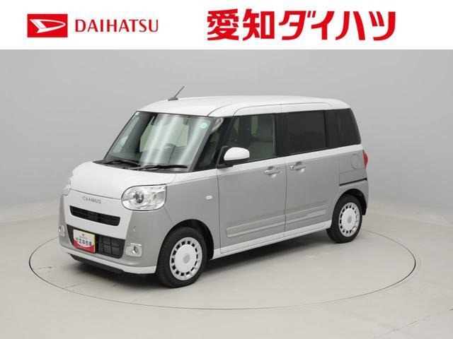 ムーヴキャンバス  ストライプス G