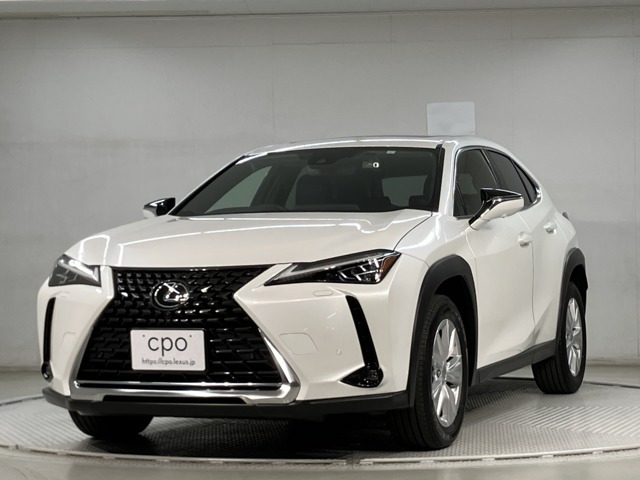 UX 250h バージョンC 