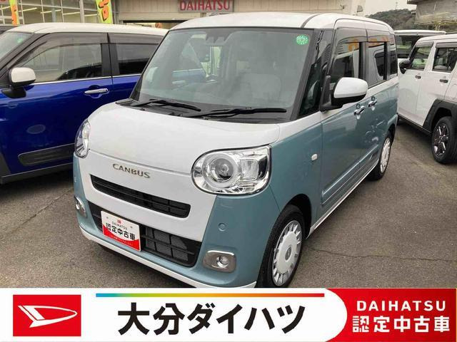 ムーヴキャンバス  ストライプス G