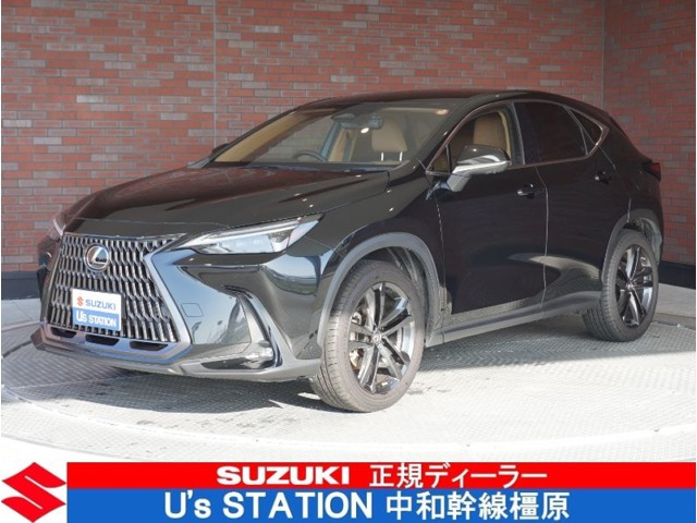 NX 250 バージョンL NX 250 バージョンL