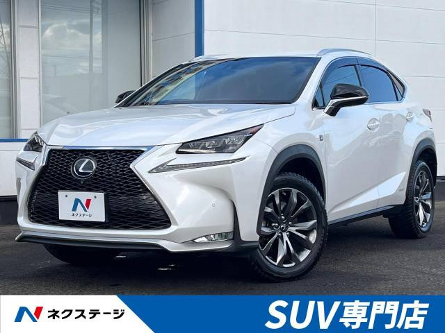 NX 300h Fスポーツ 