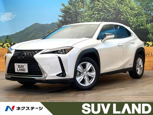UX 250h バージョンC 