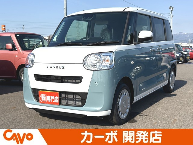 ムーヴキャンバス  ストライプス X
