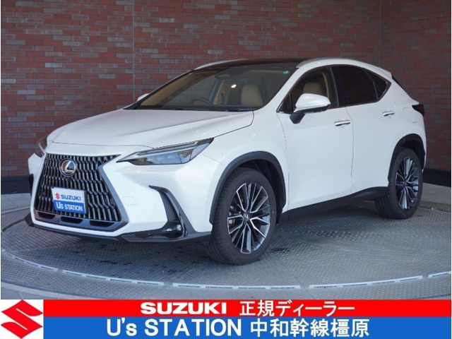 NX 250 バージョンL NX 250 バージョンL