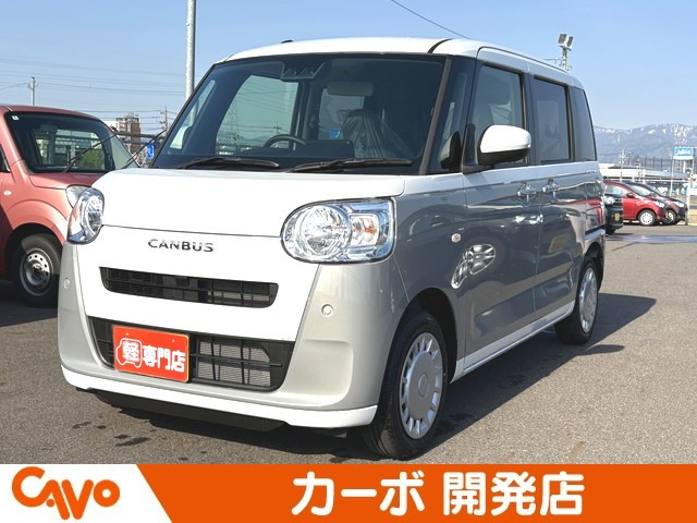 ムーヴキャンバス  ストライプス X