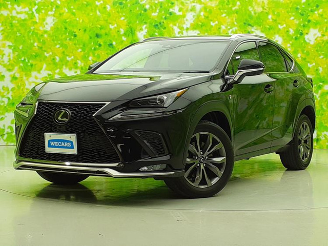 NX 300 Fスポーツ 4WD 