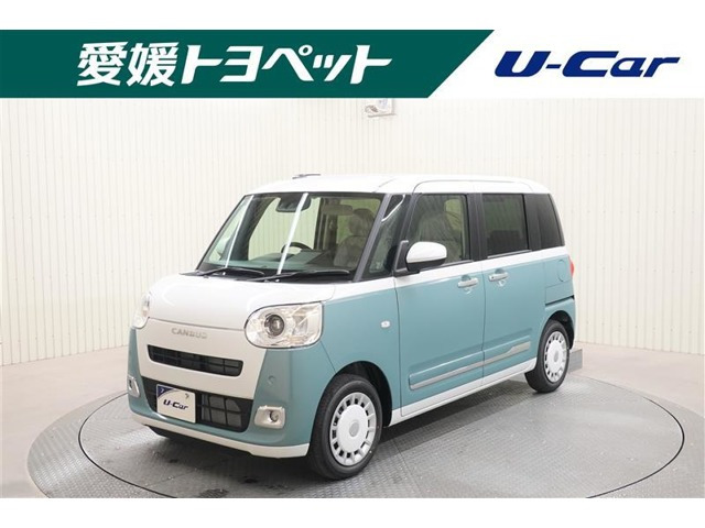 ムーヴキャンバス  ストライプス G
