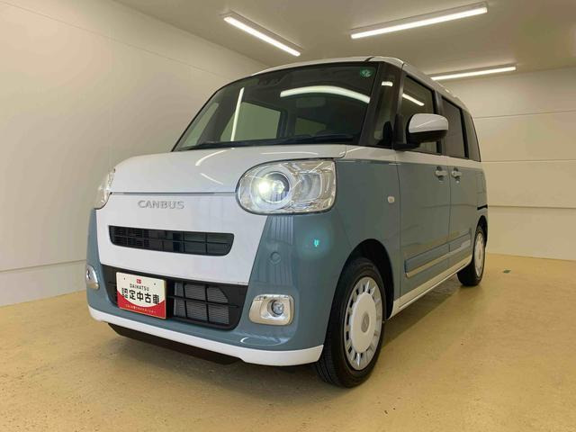 ムーヴキャンバス  ストライプス G