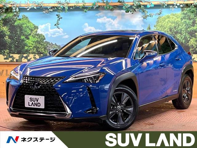 UX 250h バージョンC 