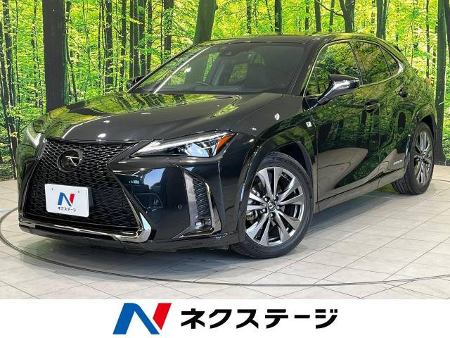 UX 250h Fスポーツ 