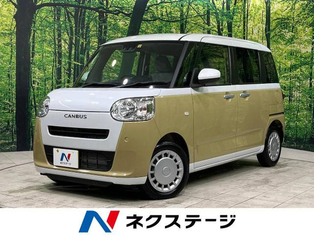 ムーヴキャンバス ストライプス X 