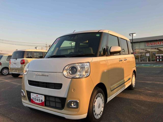 ムーヴキャンバス  ストライプス G