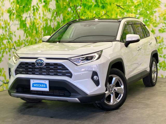 RAV4 2.5 ハイブリッド G E-Four 4WD 