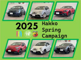 500C ミモザ 