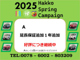 500C ミモザ 