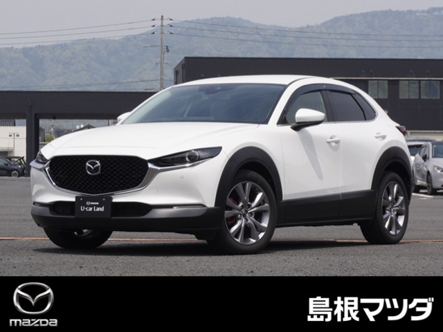 CX-30 2.0 20S プロアクティブ ツーリングセレクション 4WD 