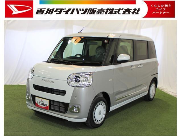 ムーヴキャンバス  ストライプス G