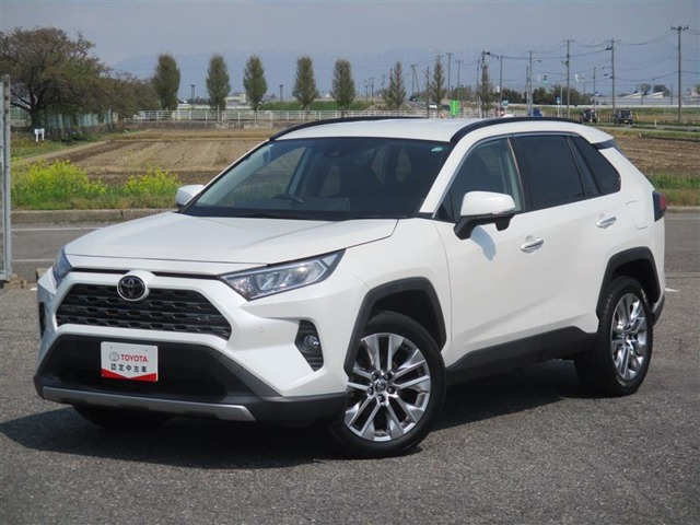 RAV4  2.0 G Zパッケージ 4WD