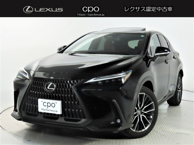 NX 250 バージョンL NX 250 バージョンL