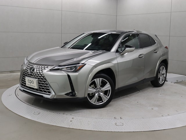 UX 250h グレイスフル エクスプローラー 