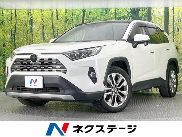 RAV4  G Zパッケージ