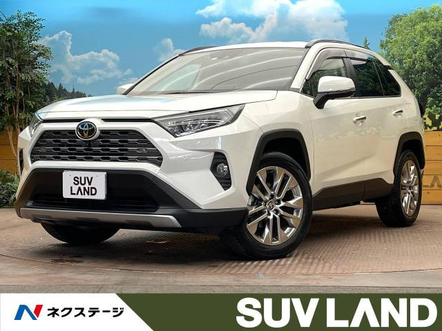 RAV4  G Zパッケージ