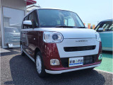 ムーヴキャンバス  ストライプス G
