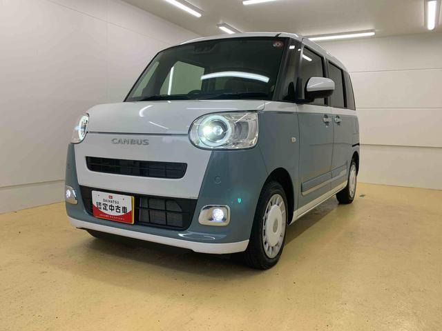 ムーヴキャンバス  ストライプス G