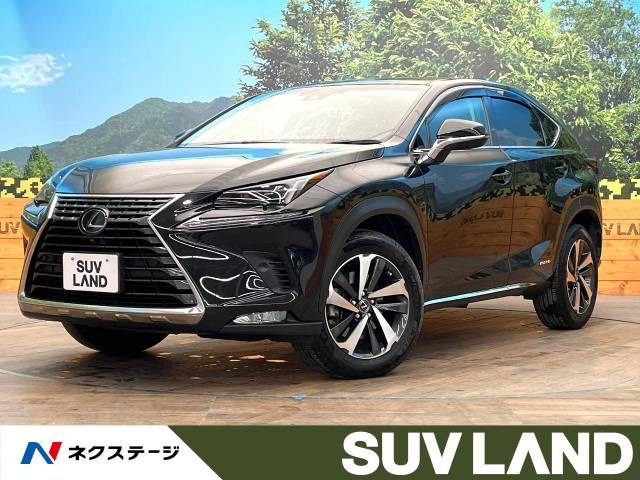 NX 300h バージョンL 