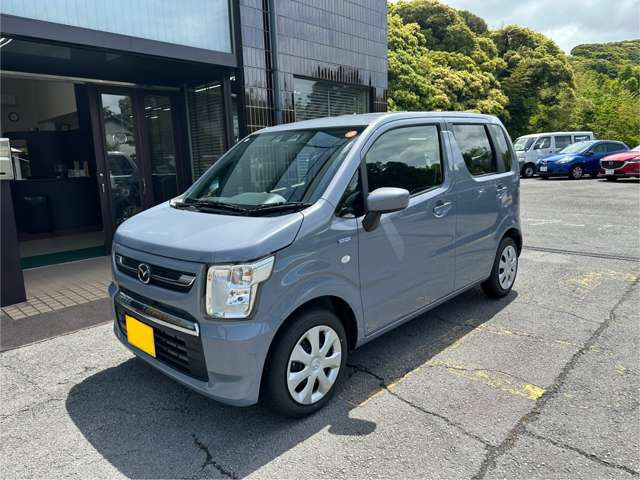 ま*る様 ホマロメナ　ハイブリッド 価格の安いkzt ホマロメナハイブリッドRec183 K0124-f2 / アクア