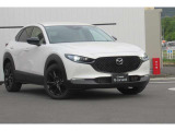 CX-30 2.0 20S レトロスポーツエディション 4WD 